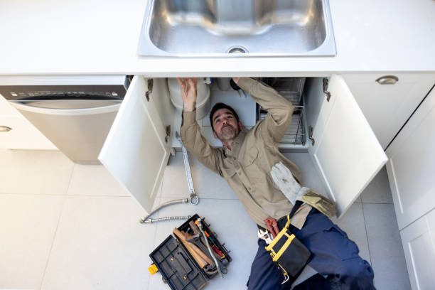 Best Toilet Repair Services  in Ester, AK