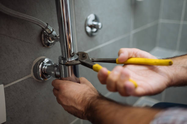 Best Emergency Plumber  in Ester, AK